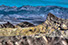 Surreal HDR image at Zabriskie Point at Death Valley, California, USA