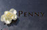 Der Name "Penny" mit weißer Rose in der 9/11 Memorial Gedenktafel in New York City